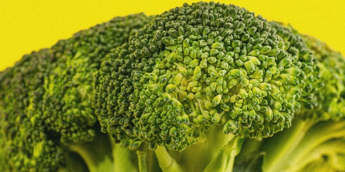 The psychology of food aversions: Why some people don’t grow out of picky eating — and when that’s a problem