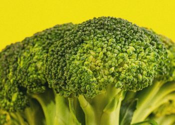 The psychology of food aversions: Why some people don’t grow out of picky eating — and when that’s a problem