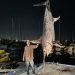 San Diego angler breaks California record with catch of 666-pound swordfish