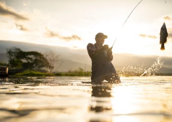 Walking, grapes and fishing may improve your health. Here’s what to know.