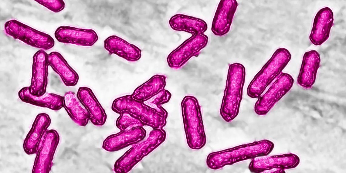 Ice cream cups are recalled due to possible listeria outbreak. Here’s what you need to know.