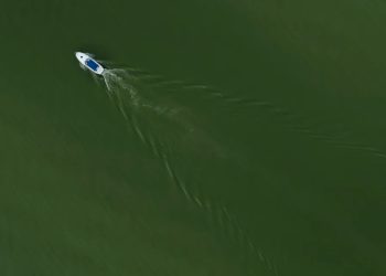 On Lake Erie, getting rid of problem algae starts with giving it less food