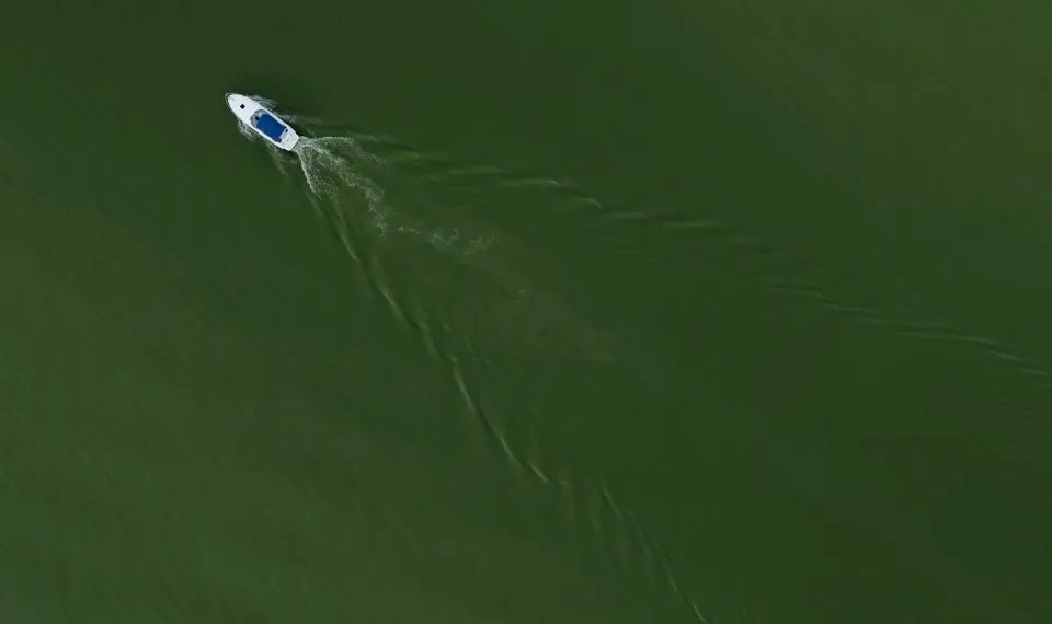 On Lake Erie, getting rid of problem algae starts with giving it less food