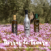 Tierras de Tavara: The Premium Olive Oil Flavor from Sierra de Segura
